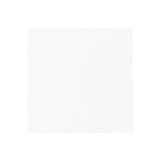 Busch-Jaeger Blindzentralscheibe 1749-44G m.Tragring u.Leitungsauslass