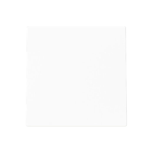 Busch-Jaeger Blindzentralscheibe 1749-44M m.Tragring u.Leitungsauslass