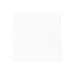 Busch-Jaeger Blindzentralscheibe 1749-44M m.Tragring...