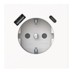 Busch-Jaeger SCHUKO-Steckdose 20 EUCB2USBAC-44G USB-A+C Safety+