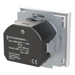 Busch-Jaeger SCHUKO-Steckdose 20 EUCB2USBAC-44G USB-A+C Safety+