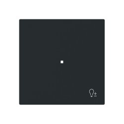 Busch-Jaeger Wippe 6234-10-45M 1-f.m.Symbol Dimmer