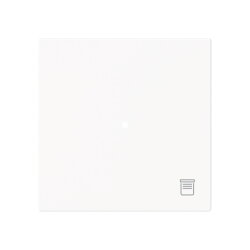 Busch-Jaeger Wippe 6232-10-44M 1-f.m.Symbol Jalousie