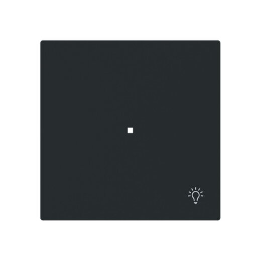 Busch-Jaeger Wippe 6231-10-45M 1-f.m.Symbol Licht