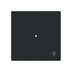 Busch-Jaeger Wippe 6231-10-45M 1-f.m.Symbol Licht