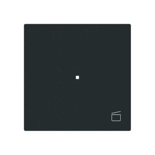 Busch-Jaeger Wippe 6233-10-45M 1-f.m.Symbol Szene