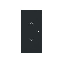 Busch-Jaeger Wippe 6232-20-45M 2-f.m.Symbol Jalousie