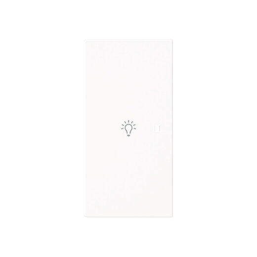 Busch-Jaeger Wippe 6231-21-44M 2-f.links m.Symbol Licht