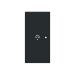 Busch-Jaeger Wippe 6231-21-45M 2-f.links m.Symbol Licht