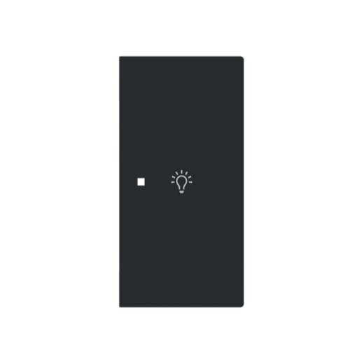 Busch-Jaeger Wippe 6231-22-45M 2-f.rechts m.Symbol Licht