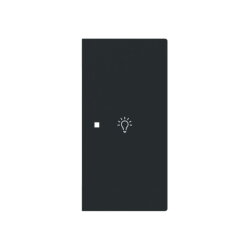 Busch-Jaeger Wippe 6231-22-45M 2-f.rechts m.Symbol Licht