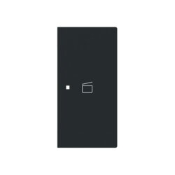 Busch-Jaeger Wippe 6233-22-45M 2-f.rechts m.Symbol Szene