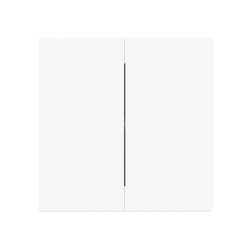 Busch-Jaeger Wippe 1785-44G geschlossen f.Serienschalter