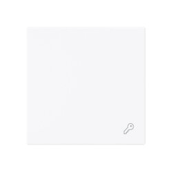 Busch-Jaeger Wippe 2520 TR-44G geschl.m.Symbol...