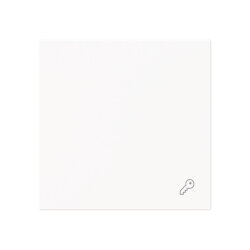 Busch-Jaeger Wippe 2520 TR-44M geschl.m.Symbol...