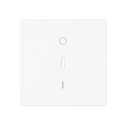 Busch-Jaeger Wippe 1788-44G m.Aufdruck m.Aufdruck 0-1