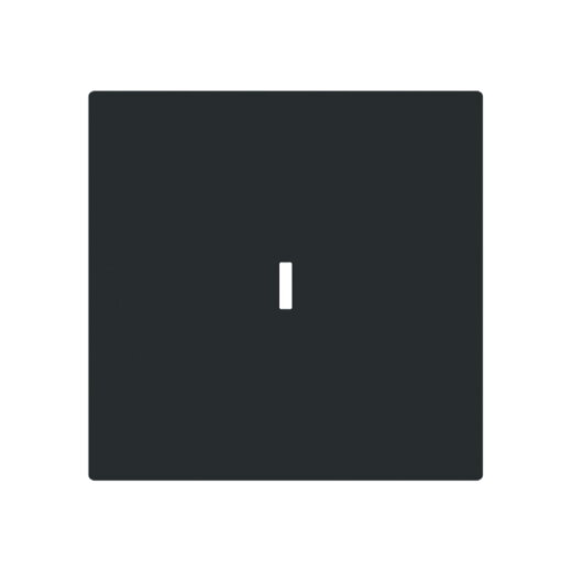 Busch-Jaeger Wippe 1789 N-45M m.Beschriftungsfeld