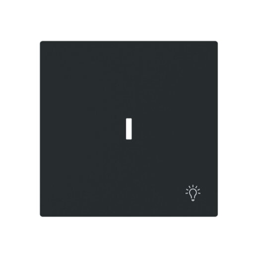 Busch-Jaeger Wippe 1789 LI-45M m.Symbol Licht m.transp.K