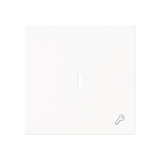 Busch-Jaeger Wippe 1789 TR-44M m.Symb.Schlüssel m.transp.K.