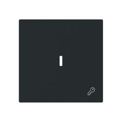 Busch-Jaeger Wippe 1789 TR-45M m.Symb.Schlüssel...