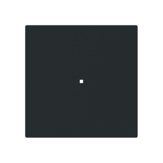 Busch-Jaeger Wippe 6230-10-45M 1-f.neutral o.Bedruckung