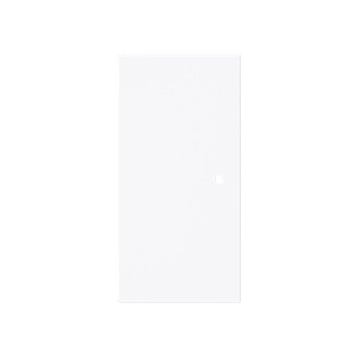 Busch-Jaeger Wippe 6230-20-44G 2-f.neutral o.Bedruckung