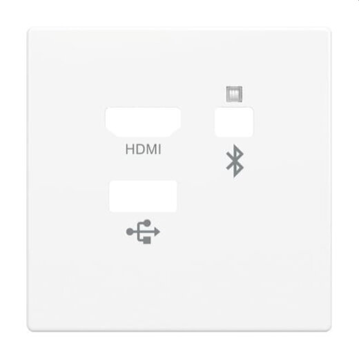 Busch-Jaeger Zentralscheibe 8256-84 Media Connector 8256-84