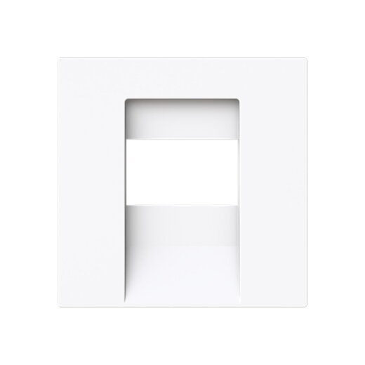 Busch-Jaeger Zentralscheibe 1766-44G