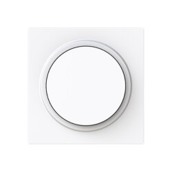Busch-Jaeger Zentralscheibe 6540-44G-102 Drehdimmer...