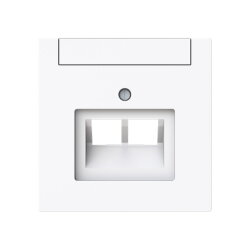 Busch-Jaeger Zentralscheibe 1803-02-44G 2-f. UAE m....