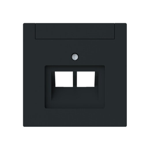 Busch-Jaeger Zentralscheibe 1803-02-45M 2-f. UAE m. Beschriftungsfeld