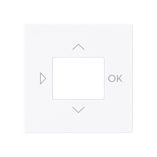 Busch-Jaeger Zentralscheibe 6435-44G f. LCD-Display