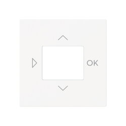 Busch-Jaeger Zentralscheibe 6435-44M f. LCD-Display