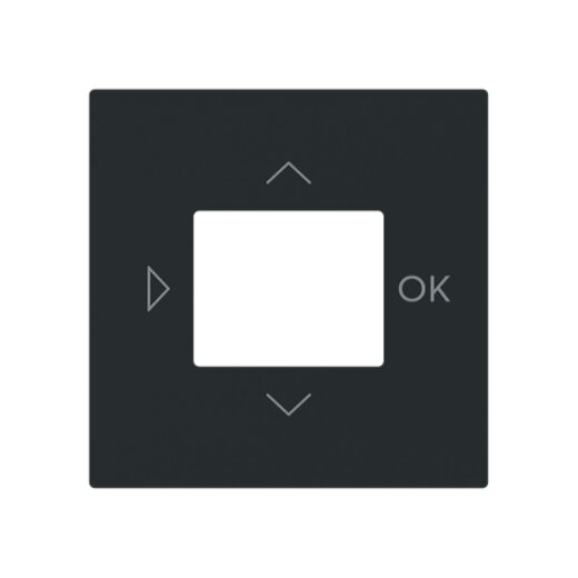 Busch-Jaeger Zentralscheibe 6435-45M f. LCD-Display