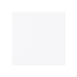 Busch-Jaeger Zentralscheibe 1746-44G m. Klappdeckel