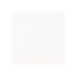 Busch-Jaeger Zentralscheibe 1746-44M m. Klappdeckel