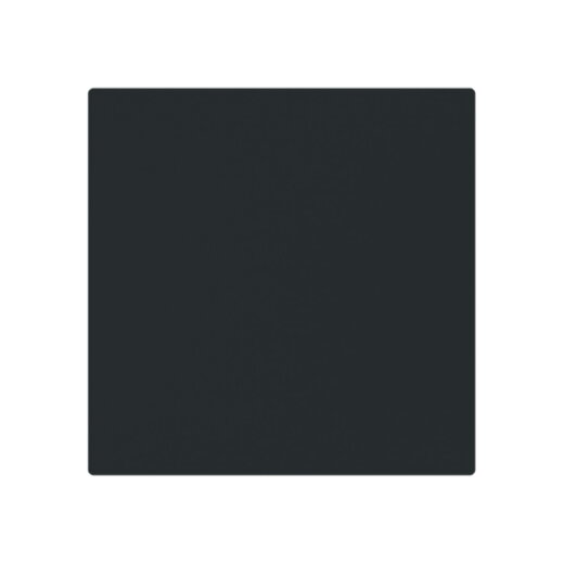 Busch-Jaeger Zentralscheibe 1746-45M m. Klappdeckel