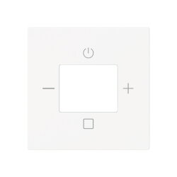 Busch-Jaeger Zentralscheibe 8252-44M-101 Radio