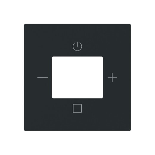 Busch-Jaeger Zentralscheibe 8252-45M-101 Radio