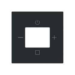 Busch-Jaeger Zentralscheibe 8252-45M-101 Radio