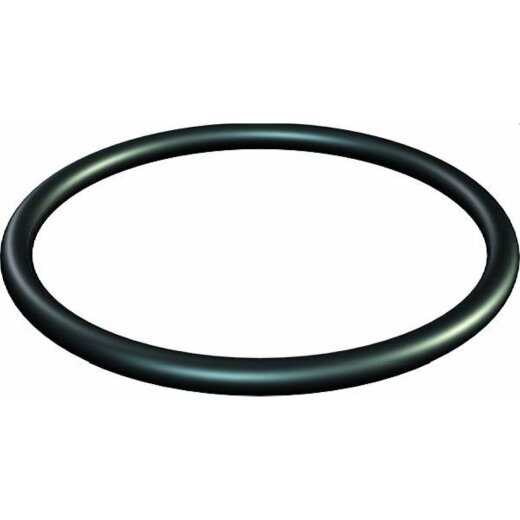 OBO Dichtring 171 M20 O-Ring