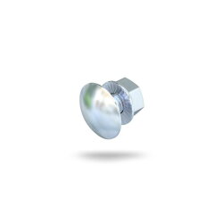 OBO Flachrundschraube FRSB M6x20 F feuerverzinkt