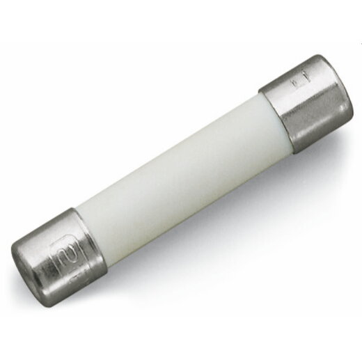 WAGO G-Sicherungseinsatz ohne Kennmelder ?" x 1?" 282-457