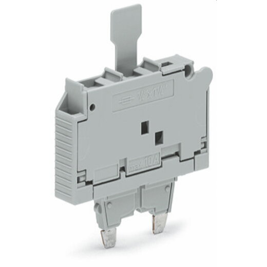 WAGO Sicherungsstecker mit Lasche für G-Sicherungseinsatz ?" x 1?" grau 2006-931/1000-836