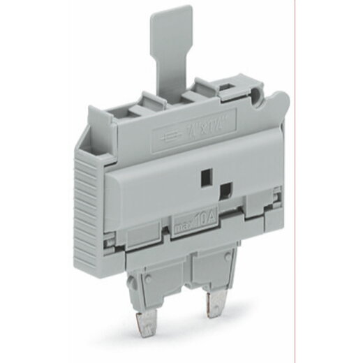 WAGO Sicherungsstecker mit Lasche für G-Sicherungseinsatz ?" x 1?" grau 2006-931/1099-542
