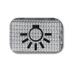 Busch-Jaeger 2145 LI Licht Symbol