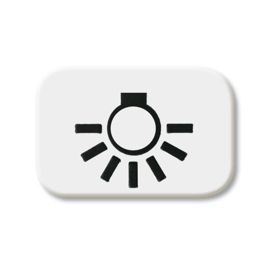 Busch-Jaeger 2525 LI-214 Licht Symbol