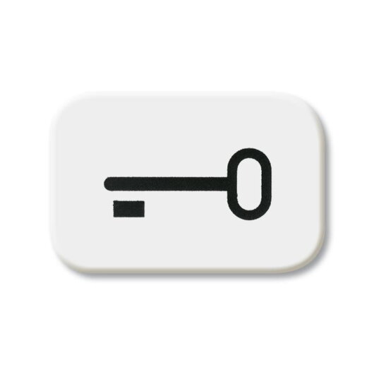 Busch-Jaeger 2525 TR-214 Schluessel Symbol