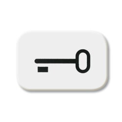 Busch-Jaeger 2525 TR-214 Schluessel Symbol