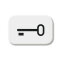 Busch-Jaeger 2525 TR-214 Schluessel Symbol